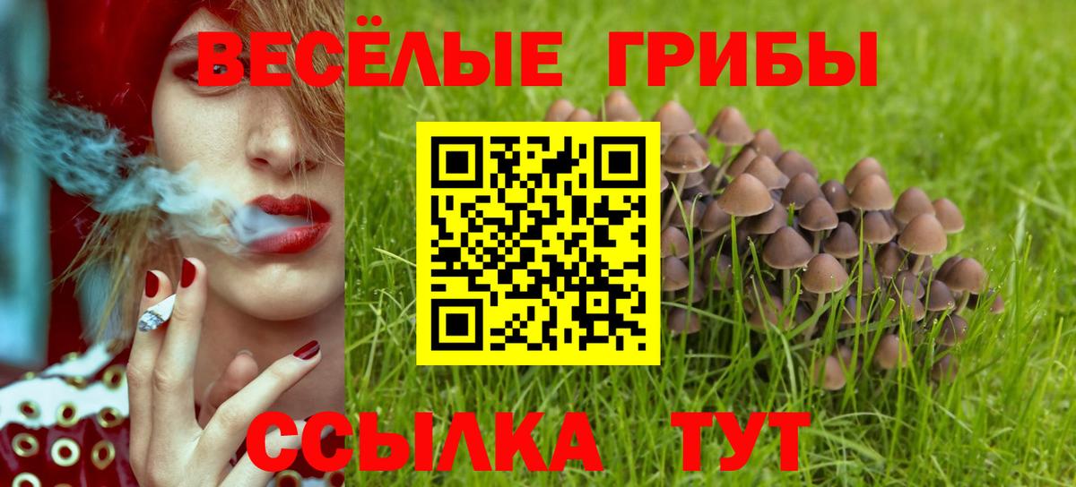 Урай  дарнет шоп  Вход с VPN  Псилоцибиновые грибы прущие грибы 